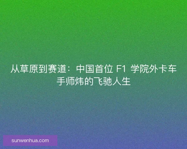 从草原到赛道：中国首位 F1 学院外卡车手师炜的飞驰人生