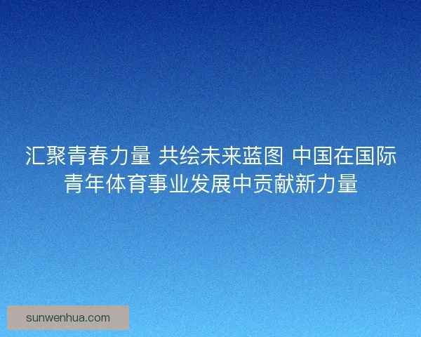 汇聚青春力量 共绘未来蓝图 中国在国际青年体育事业发展中贡献新力量